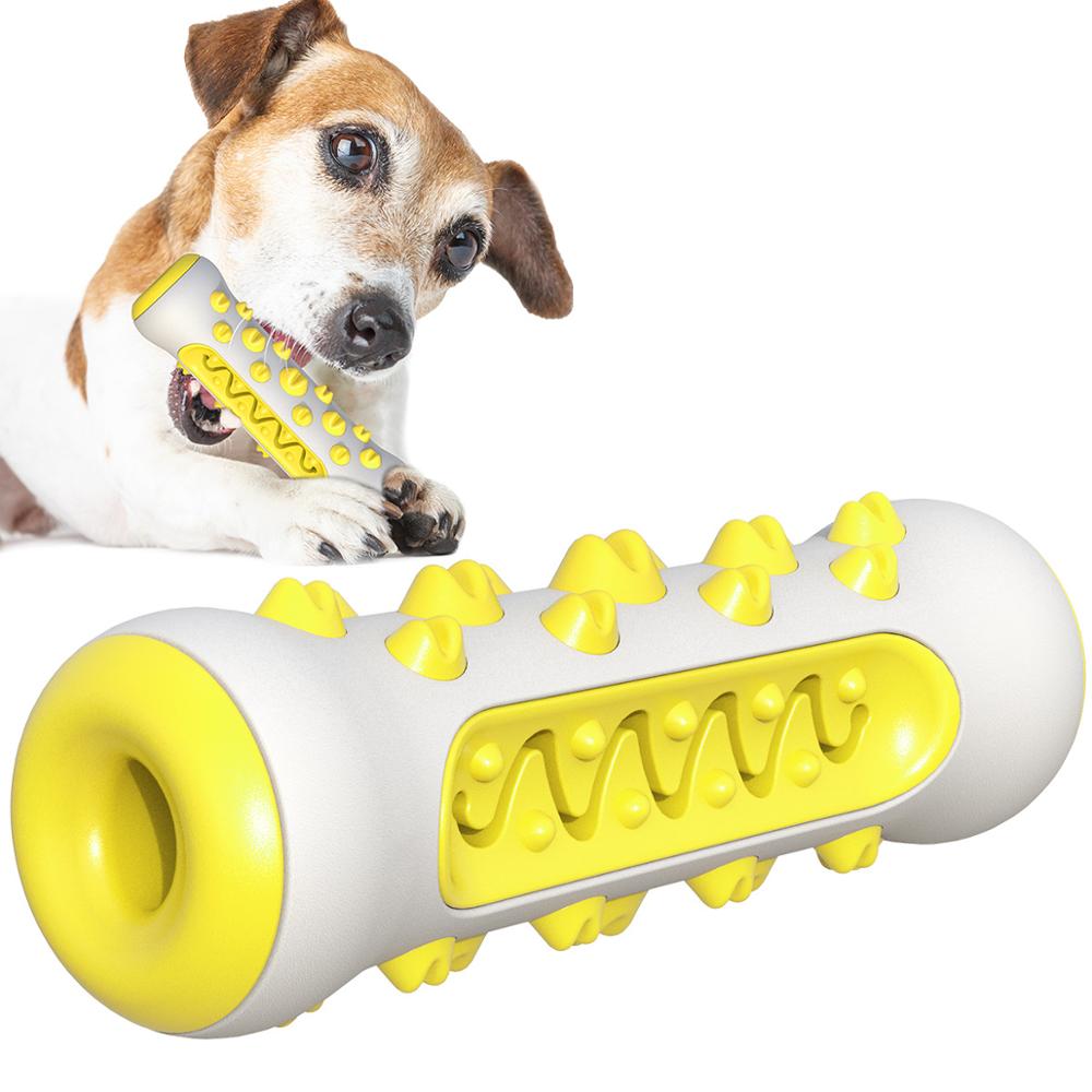 Squeaky Toothbrush Dog Chew Toy for Aggressive Chewers