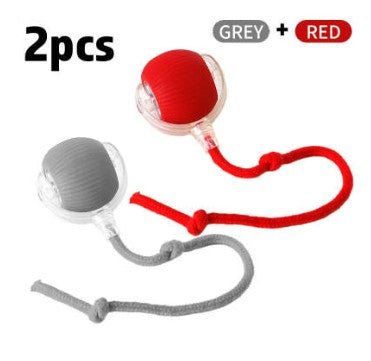 Interactive Cat Toy Ball with Self Rolling Motion for Chase Play