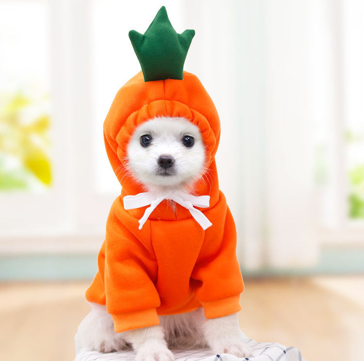 Fruit Print Fleece Dog Hoodie for Small Dogs and Cats