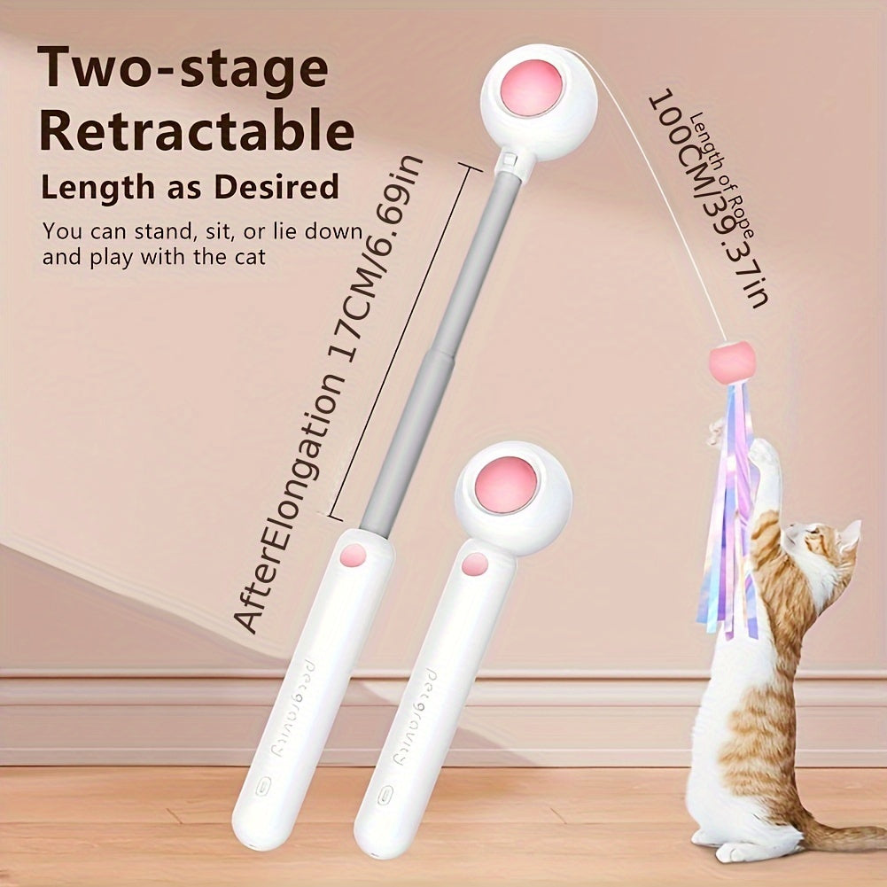 Retractable Cat Teaser Wand with Replacement Feather Head