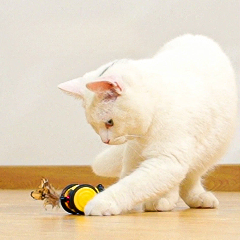 Electric Bee Car Cat Toy with Feather Teaser and Random Motion