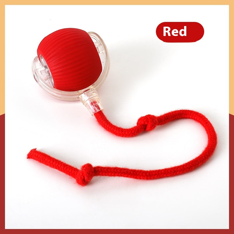Interactive Cat Toy Ball with Self Rolling Motion for Chase Play