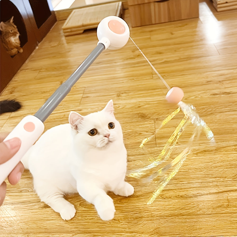 Retractable Cat Teaser Wand with Replacement Feather Head