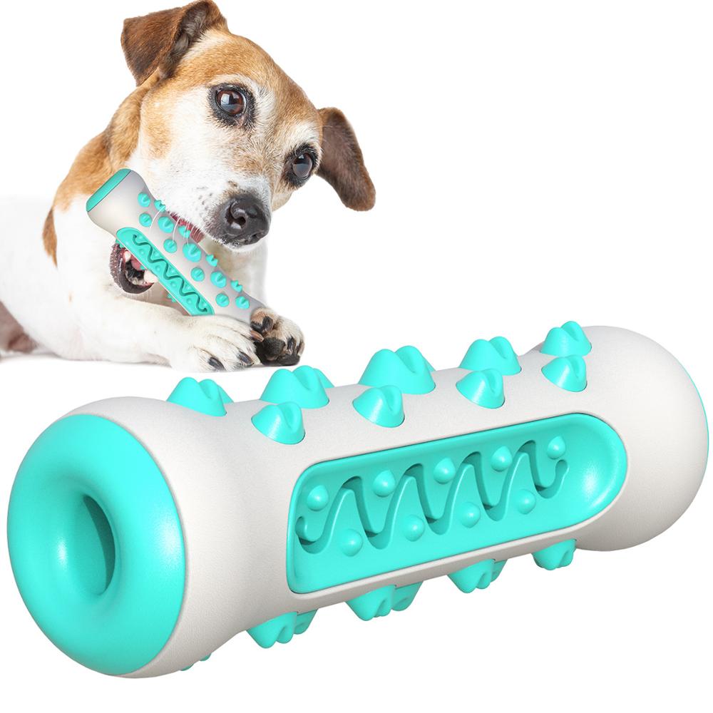 Squeaky Toothbrush Dog Chew Toy for Aggressive Chewers