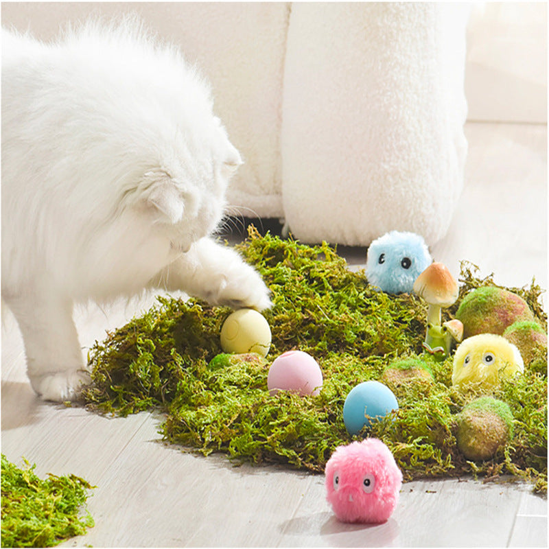Light-Up Catnip Cat Ball Toy with Sound for Solo Play