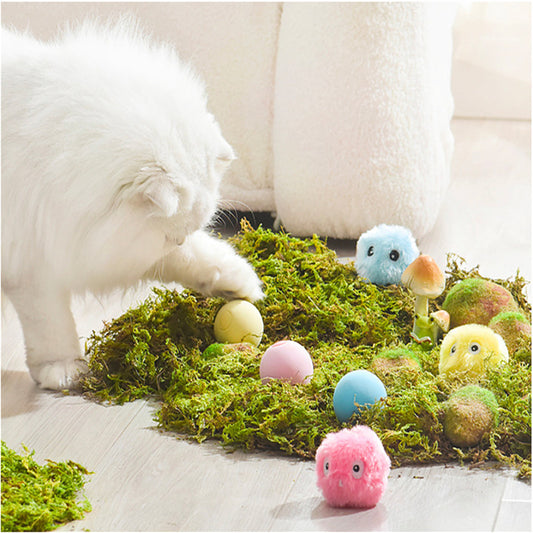 Light-Up Catnip Cat Ball Toy with Sound for Solo Play