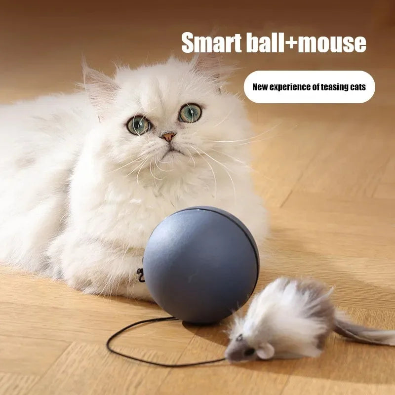 Electric Rolling Mouse Teaser Ball Interactive Cat Toy