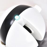 Electronic Motion Interactive Cat Toy for Solo Chase Play