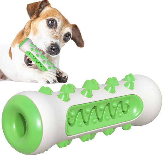 Squeaky Toothbrush Dog Chew Toy for Aggressive Chewers