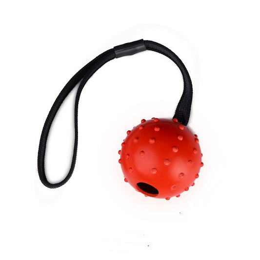 Bite Resistant Rubber Dog Chew Ball for Training and Fetch