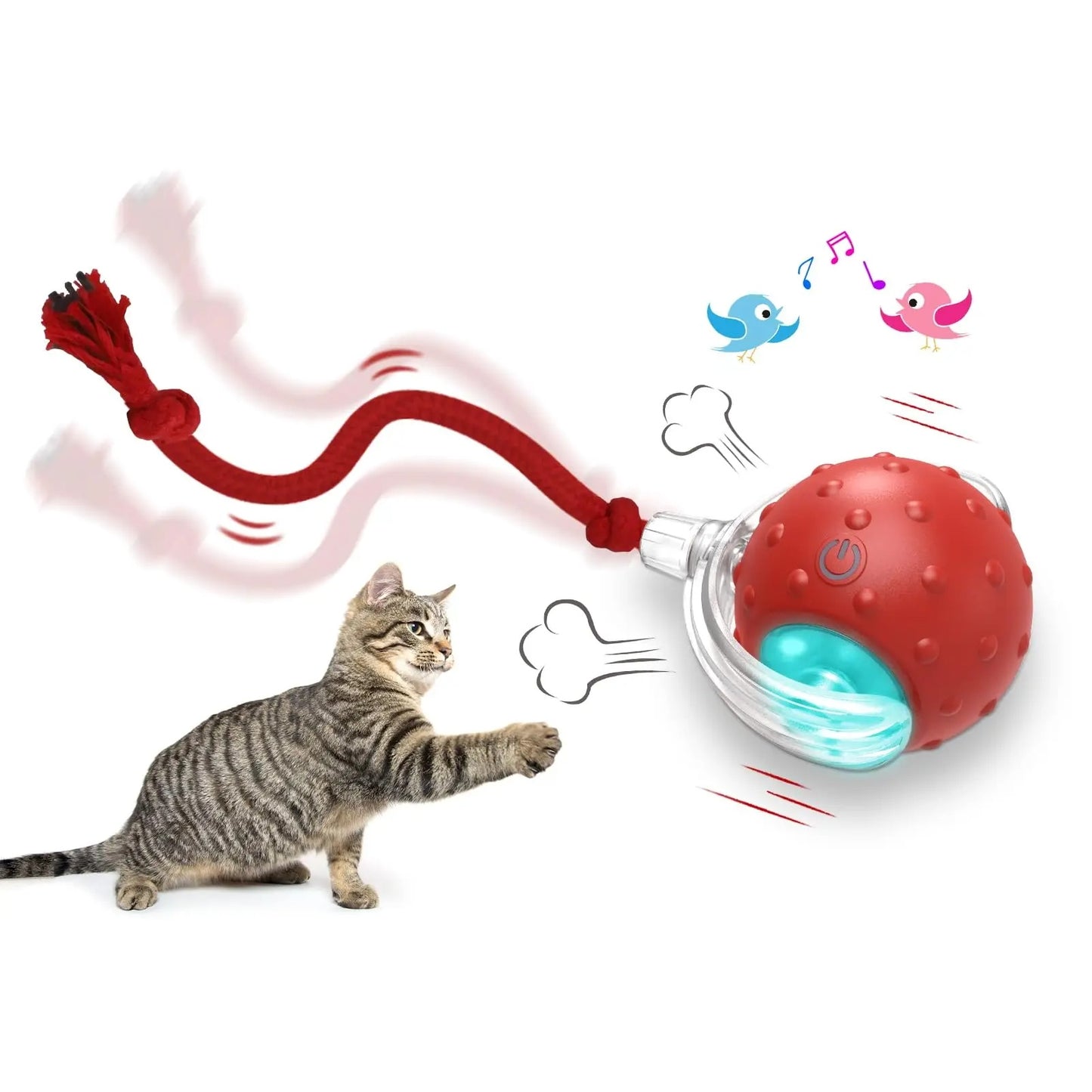 Interactive Cat Toy Ball with Self Rolling Motion for Chase Play
